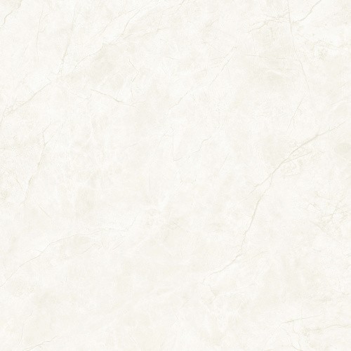 JkD4855
